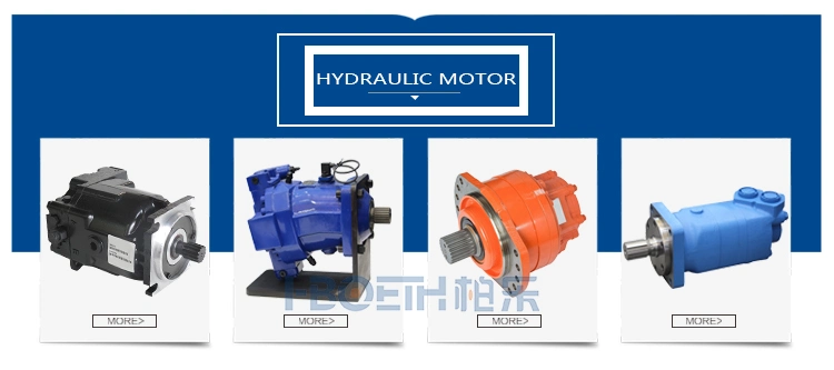 Rexroth Hydraulic Pump/Piston Pump/Grease Pump/Pressure Pump/Oil Pump/Vane Pump/ Gear Pump/Excavator Pump for A2fo A2FM A10vg A4vg A4vso A4vsg A8vo A10vso A11V